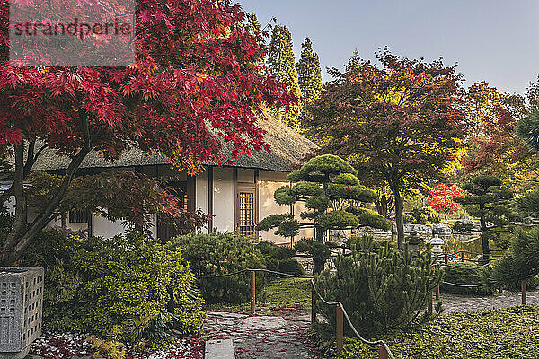 Deutschland  Hamburg  Japanisches Teehaus im Park Planten un Blomen