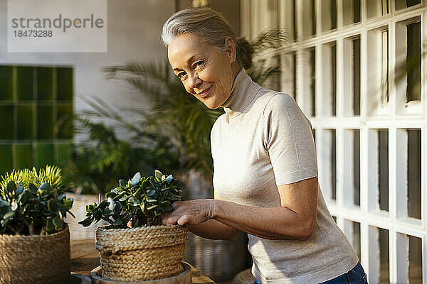 Lächelnde reife Frau kümmert sich um Topfpflanzen
