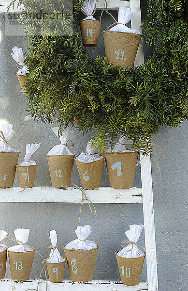 DIY-Adventskalender aus recycelten Blumentöpfen  die auf Leiterstufen stehen