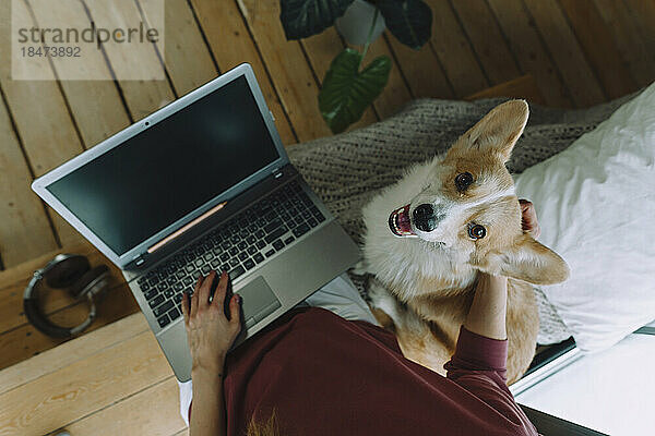 Freiberufler mit Laptop sitzt mit Hund zu Hause