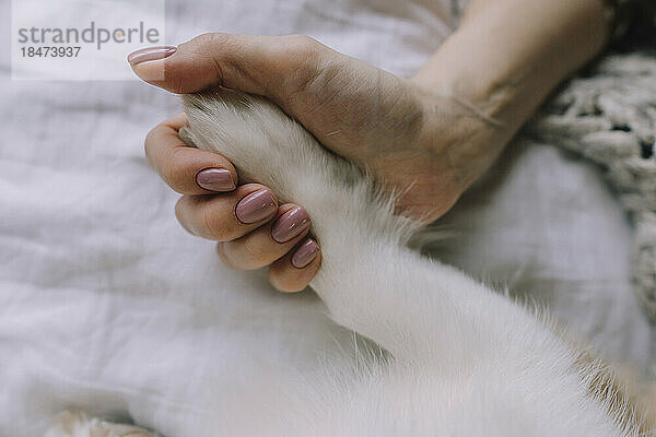 Hand of woman holding dog's paw