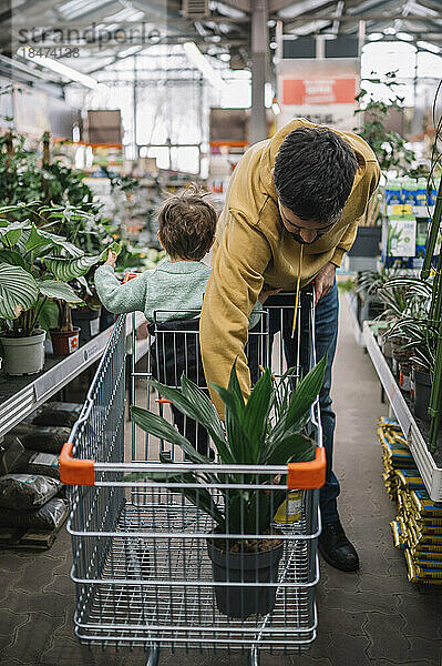 Mann mit Sohn legt im Geschäft Pflanze in den Einkaufswagen