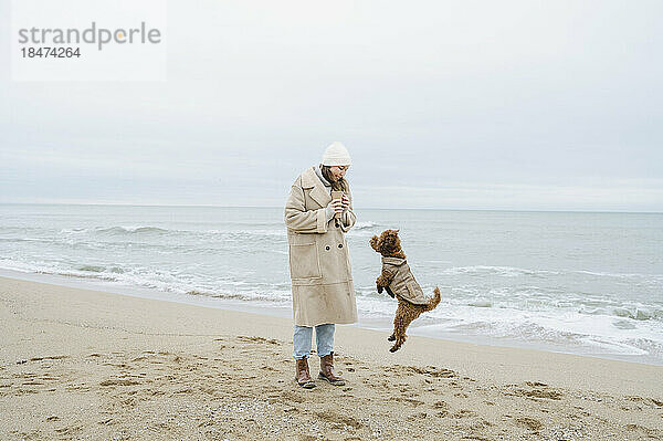 Dog jumping by woman standing on sand at beach