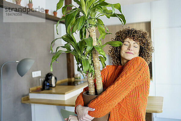 Lächelnde Frau mit lockigem Haar umarmt zu Hause eine Topfpflanze