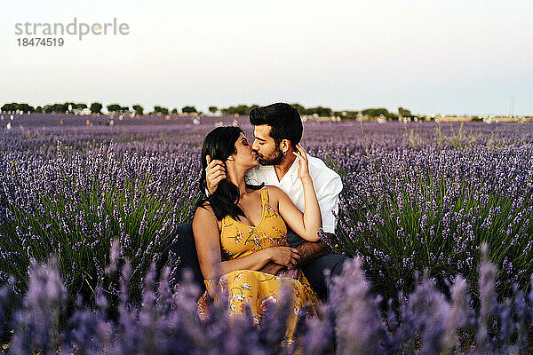 Loving couple kissing each other in lavender field at sunset