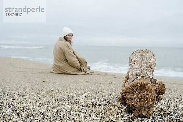 Hund gräbt im Sand  Frau sitzt am Strand