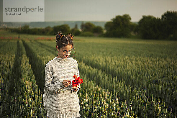 Lächelndes Mädchen  das mit roten Blumen auf dem Feld steht