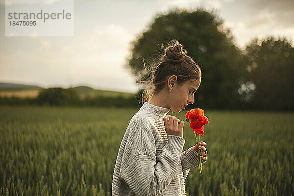 Mädchen riecht Mohnblumen im Feld