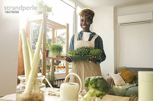 Lächelnde Frau hält einen Behälter mit Microgreens zu Hause