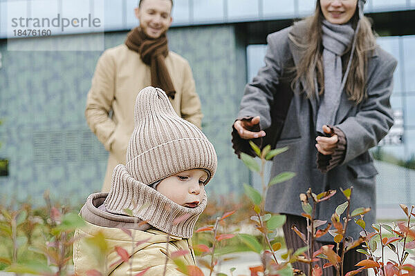Curious boy looking at plants with parents in background