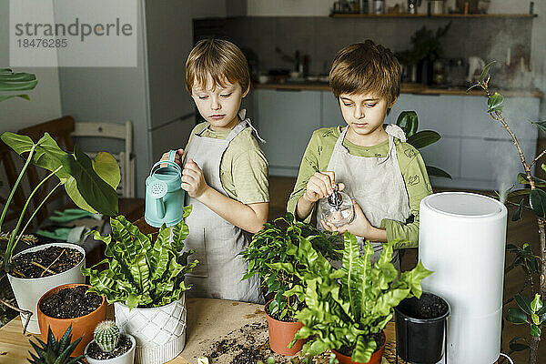 Nette Jungs  die zu Hause Pflanzen gießen