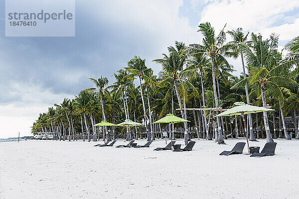 Liegestühle mit Sonnenschirm vor Palmen am Strand  Bohol  Philippinen