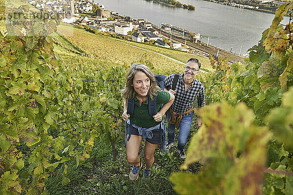 Tourists hiking amidst vineyard with river in background