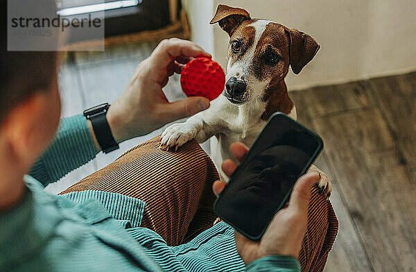 Mann hält Smartphone und spielt zu Hause mit Hund
