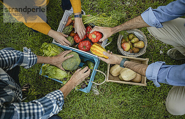 Friends taking vegetables from crate