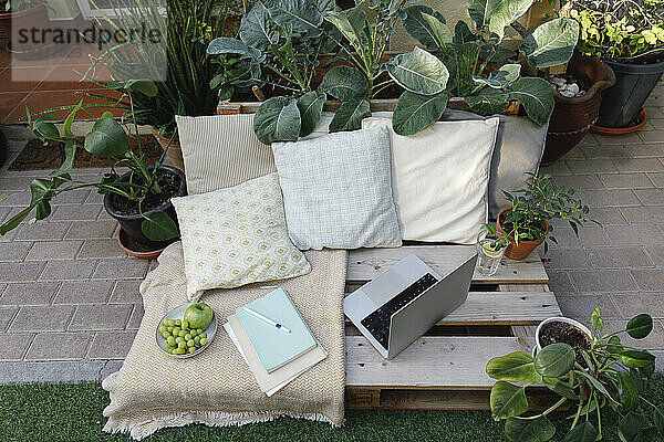 Laptop and books with fruits on wooden crate in backyard