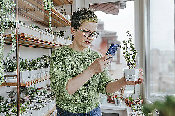 Reife Frau fotografiert zu Hause mit dem Smartphone eine Topfpflanze