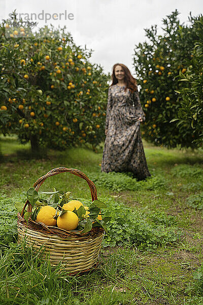 Korb mit Orangen  im Hintergrund steht eine Frau