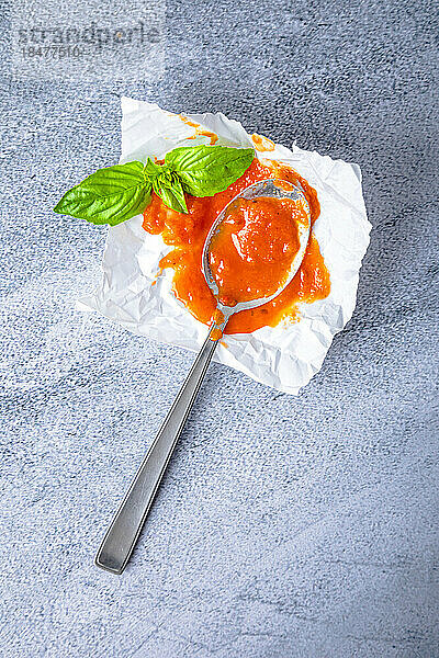 Homemade tomato sauce with spoon and mint leaves kept on tissue paper