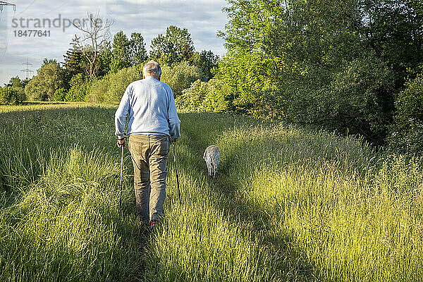 Älterer Mann mit Hund geht im Feld spazieren