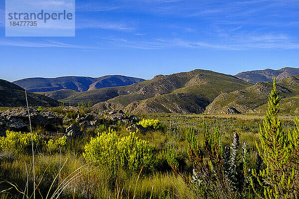 Südafrika  Provinz Westkap  Blick auf den Swartberg Pass im Sommer