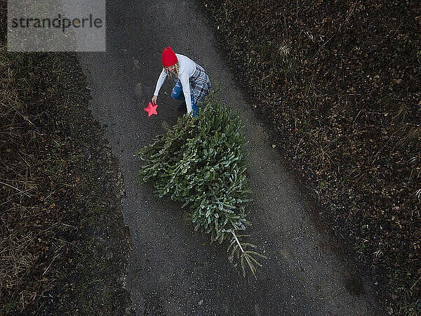 Frau zieht Weihnachtsbaum auf Fußweg