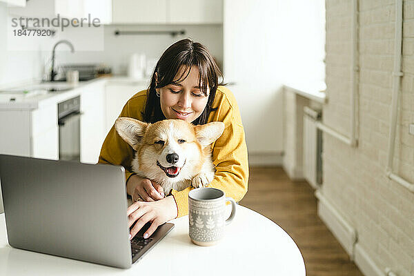Lächelnde junge Frau  die zu Hause mit einem walisischen Pembroke-Corgi am Laptop sitzt