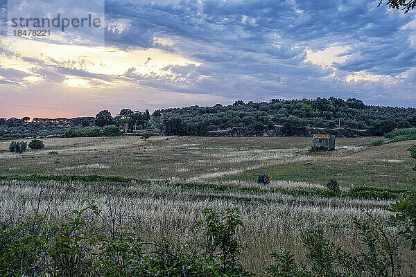 Italien  Latium  ländliche Landschaft bei bewölktem Sonnenuntergang