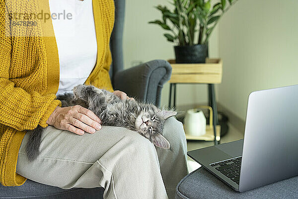 Katze ruht sich im Heimbüro auf dem Schoß eines Freiberuflers am Laptop aus