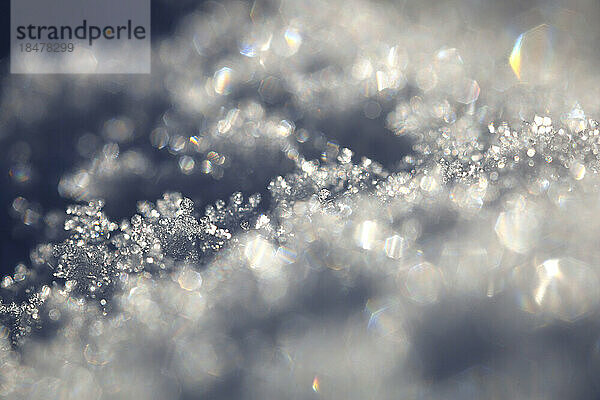 Makrofotografie von Schneekristallen