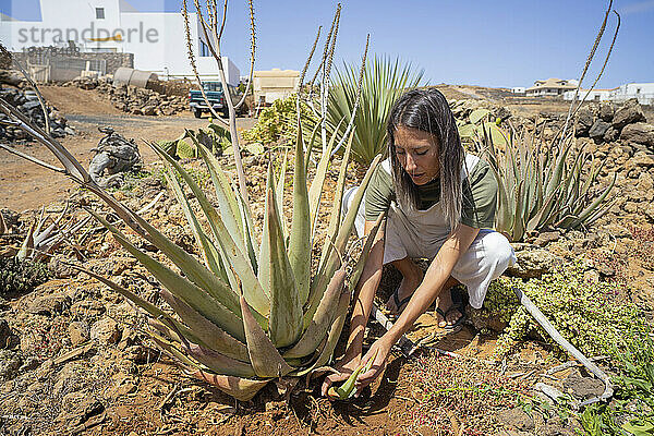 Junge Frau pflückt Aloe Vera und hockt im Garten