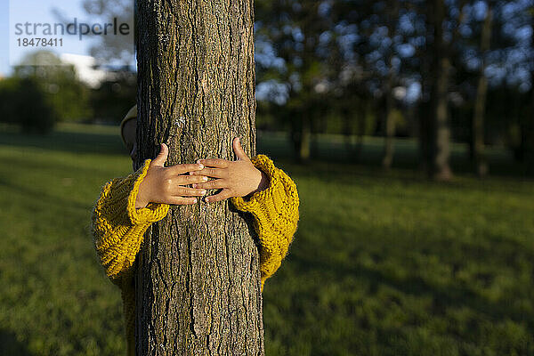 Hands of girl hugging tree in park
