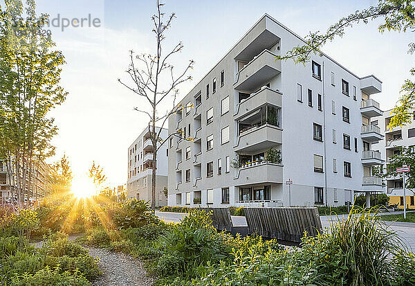 Deutschland  Bayern  München  Wohngarten vor modernem Wohnhaus bei Sonnenuntergang