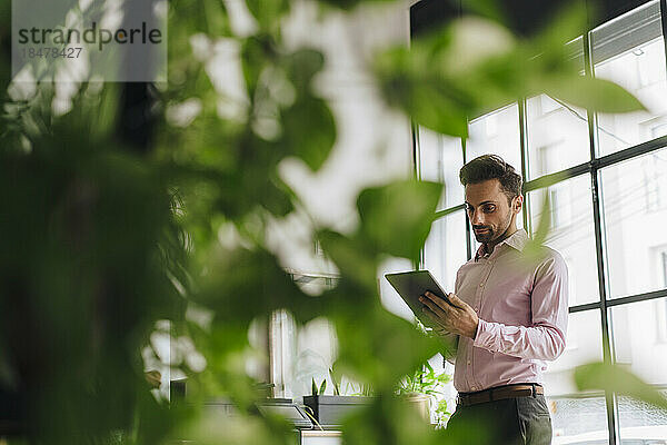 Reifer Geschäftsmann nutzt Tablet-Computer im Büro