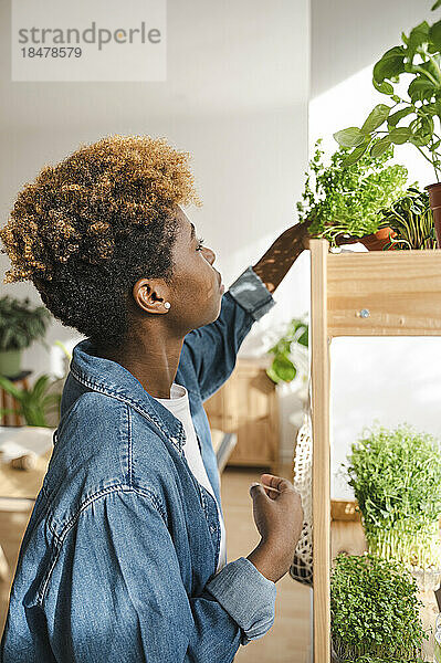 Junge Frau kümmert sich zu Hause um Pflanzen im Regal