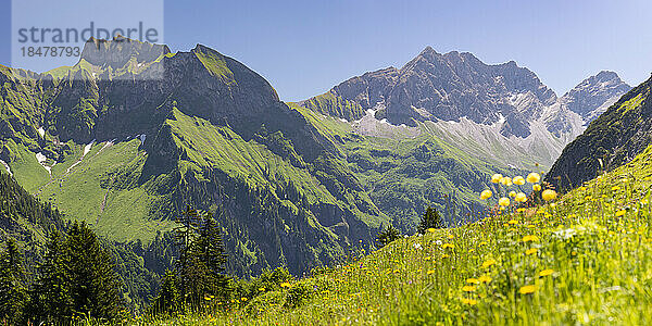 Deutschland  Bayern  malerische Wiese in den Allgäuer Alpen