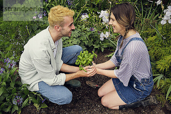 Romantic couple looking at each other holding plant in back yard