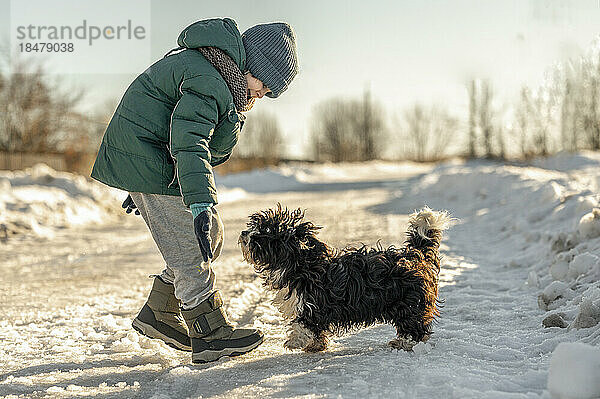 Glücklicher Junge  der mit Hund im Schnee spielt