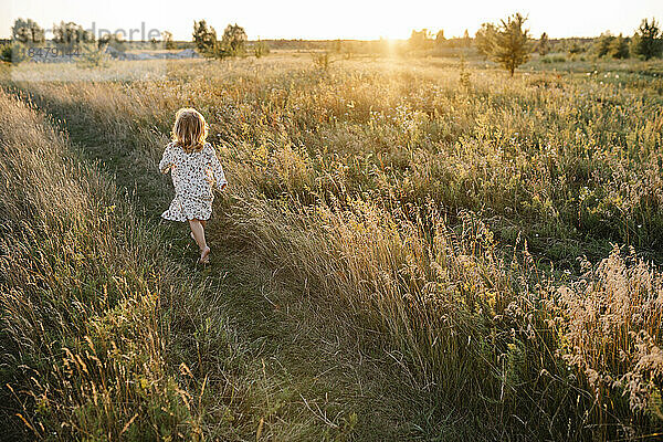 Sorgloses Mädchen läuft an einem Sommerabend auf dem Feld
