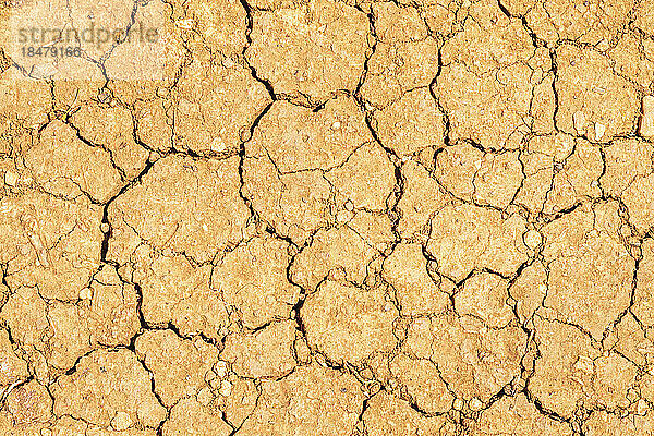 Rissiger trockener Boden bei Dürre