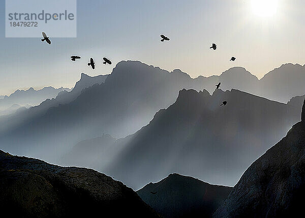 Vögel fliegen über Berge in den Dolomiten  Italien