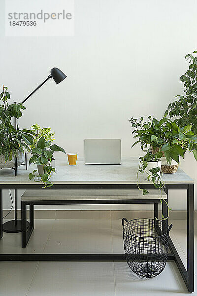 Schreibtisch mit Laptop und Pflanzen zu Hause