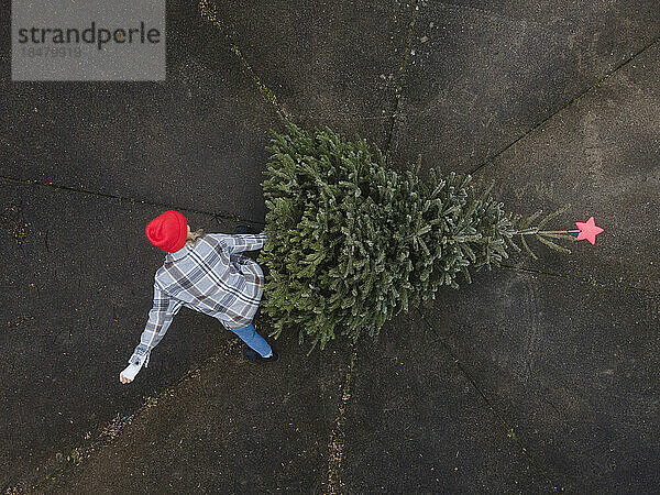 Mature woman disposing Christmas tree