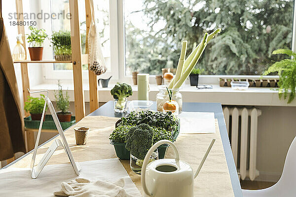 Frisches grünes Gemüse auf dem heimischen Tisch