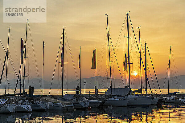 Italien  Venetien  Bardolino  Segelboote vertäut im Hafen bei Sonnenuntergang