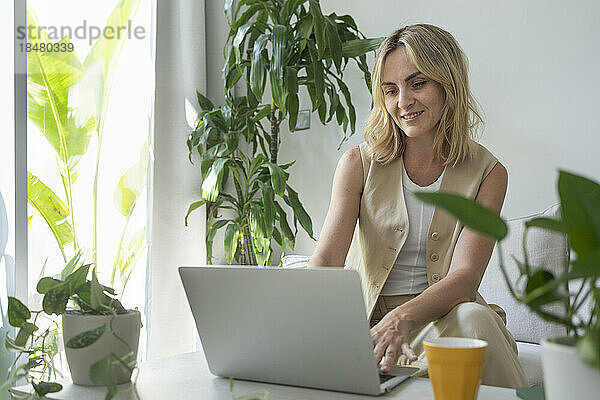 Lächelnder Freiberufler  der im Heimbüro am Laptop arbeitet