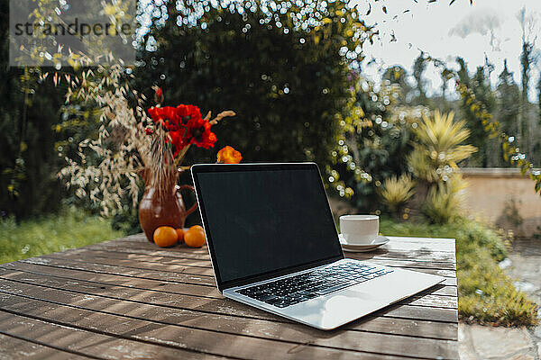 Laptop steht auf einem Tisch vor Pflanzen im Hinterhof