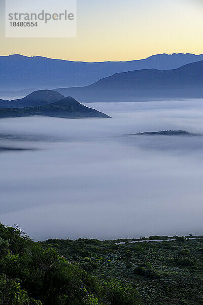 Malerische Aussicht auf die Langeberg-Berge mit Nebel