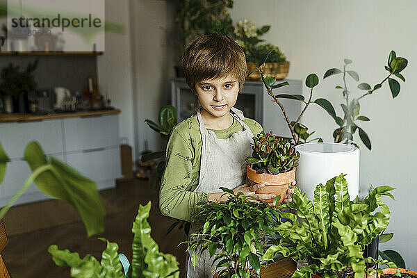 Junge hält frische Topfpflanze zu Hause