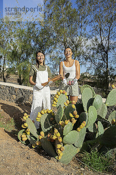 Glückliche Frauen stehen neben Kaktuspflanzen im Garten